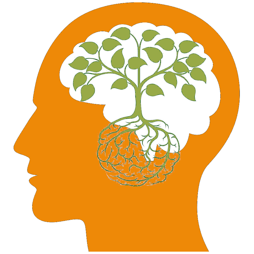 Psychotherapie_Wachstum